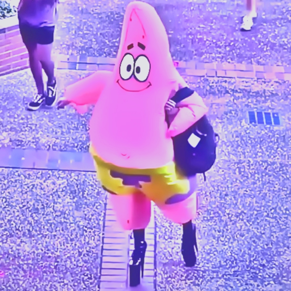 Meet your Posher, Nikki